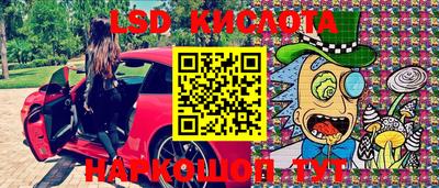 PSILOCYBIN Кунгур