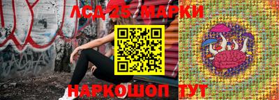 PSILOCYBIN Краснодар