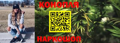 PSILOCYBIN Краснодар