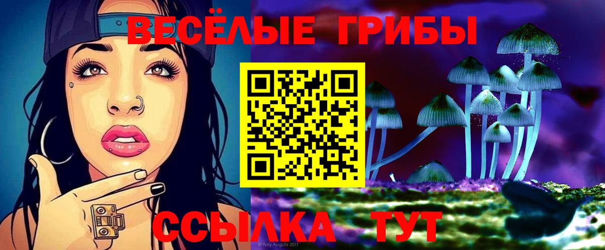 Псилоцибиновые грибы мухоморы Зерноград