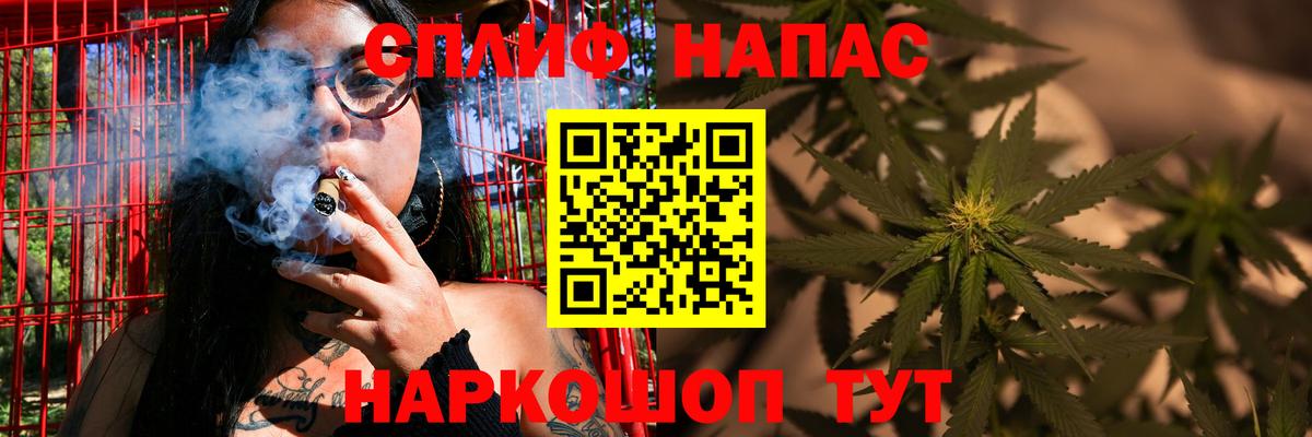 Зерноград  Конопля гибрид  Конопля марихуана  Конопля марихуана  Вход с VPN  Марихуана сатива 